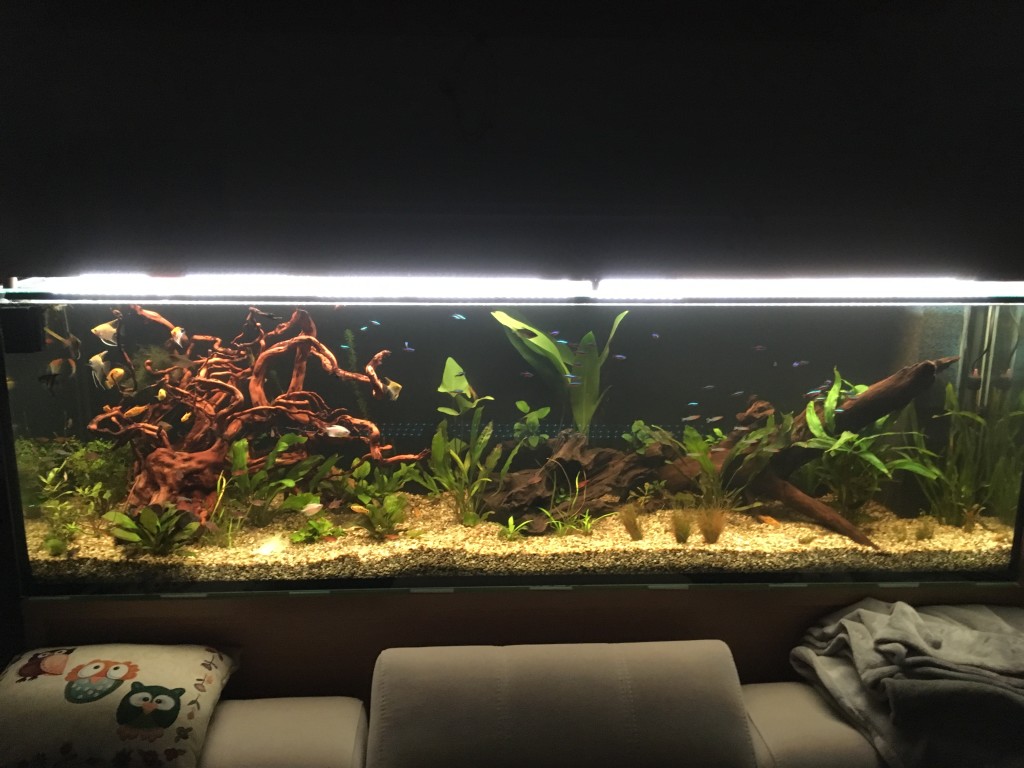 LED osvetlení akvária - GROW LED FLEXI